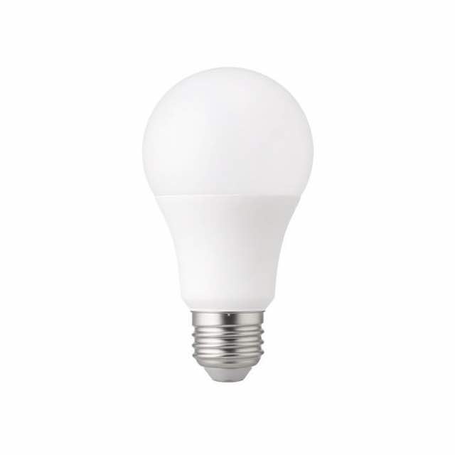 Lighting & Bulbs